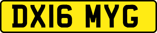 DX16MYG