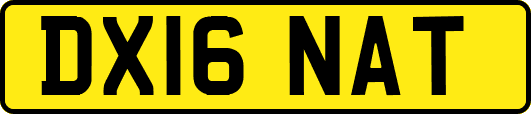 DX16NAT