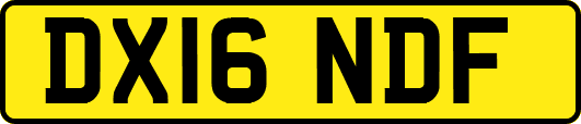 DX16NDF