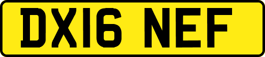 DX16NEF