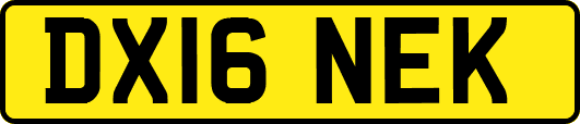 DX16NEK