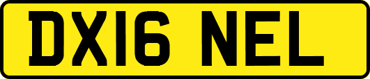 DX16NEL