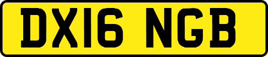 DX16NGB