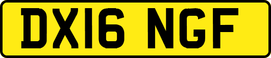 DX16NGF