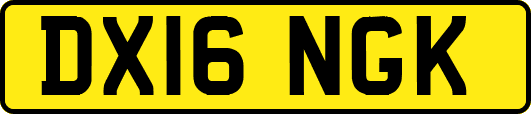 DX16NGK
