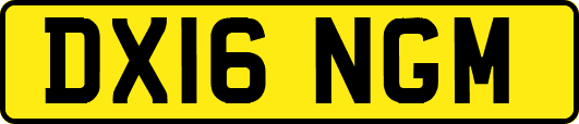 DX16NGM