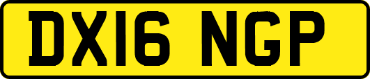 DX16NGP