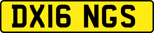 DX16NGS