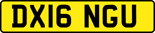 DX16NGU