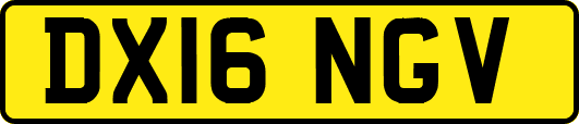 DX16NGV
