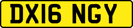 DX16NGY
