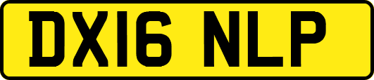 DX16NLP