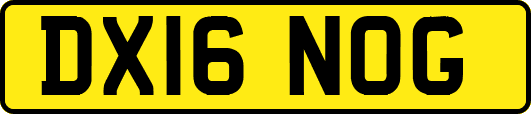 DX16NOG