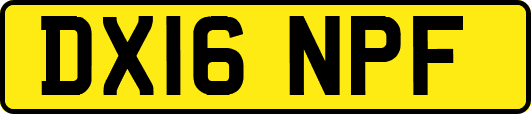 DX16NPF