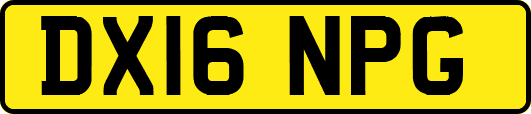 DX16NPG