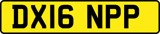 DX16NPP
