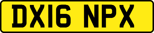 DX16NPX