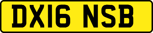DX16NSB