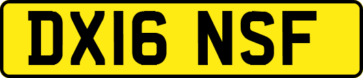 DX16NSF