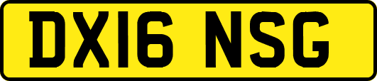 DX16NSG