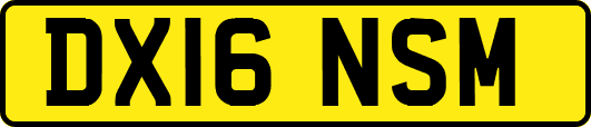 DX16NSM