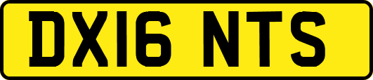 DX16NTS
