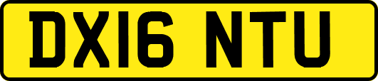 DX16NTU