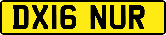 DX16NUR