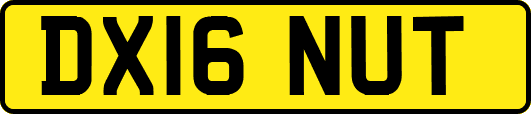 DX16NUT