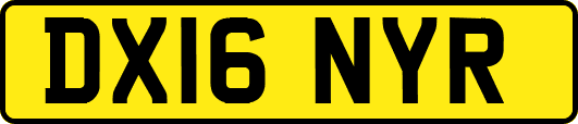 DX16NYR