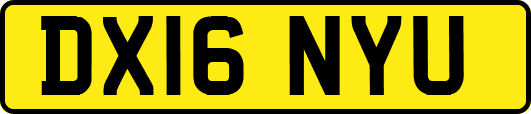 DX16NYU