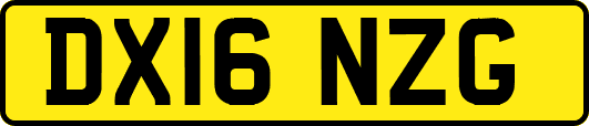 DX16NZG