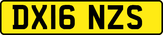 DX16NZS