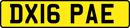 DX16PAE