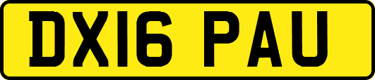 DX16PAU