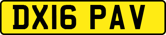 DX16PAV