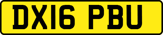 DX16PBU