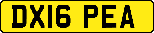 DX16PEA