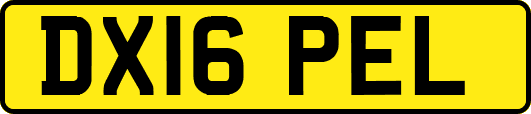 DX16PEL