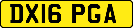 DX16PGA