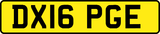 DX16PGE