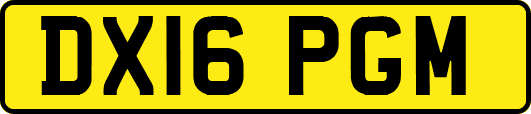 DX16PGM