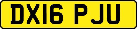 DX16PJU