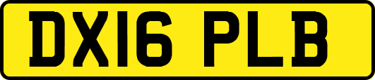 DX16PLB
