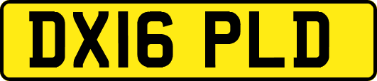 DX16PLD
