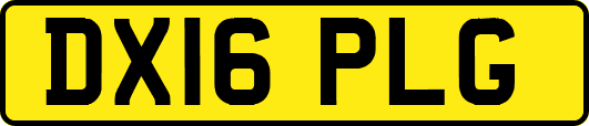 DX16PLG