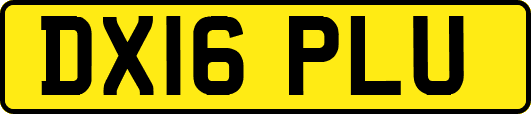 DX16PLU