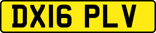 DX16PLV