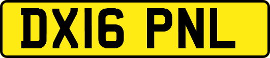 DX16PNL