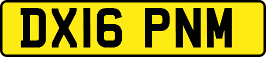 DX16PNM